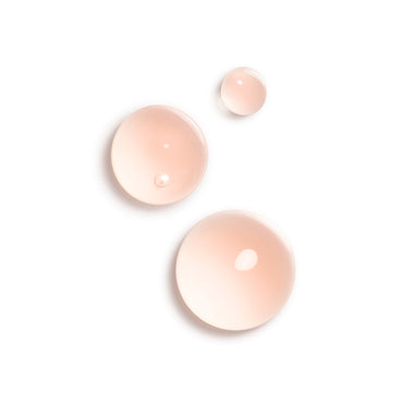 L'Huile Camelia - 11ml