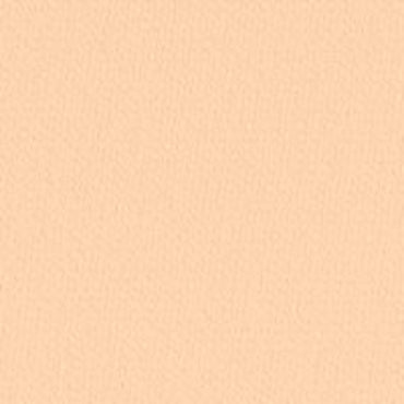 Le Blanc Brightening Compact Foundation - 12g