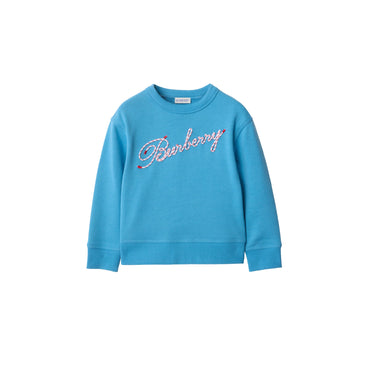 Laces Logo Cotton Sweatshirt - Turquoise
