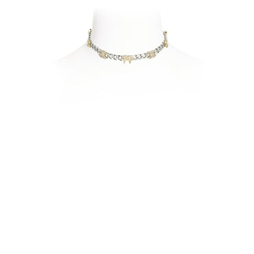 Field Of Dreams Silvery Choker Necklace